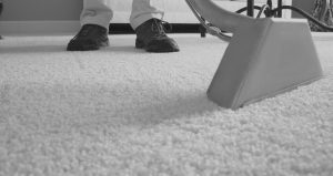 carpet cleaner in southampton